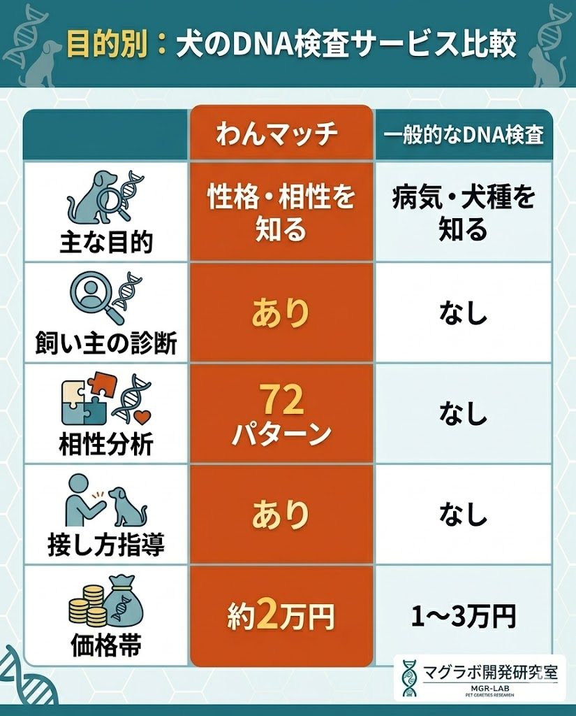 わんマッチと他社犬DNA検査の比較表。性格相性分析や接し方アドバイスの有無を比較。
