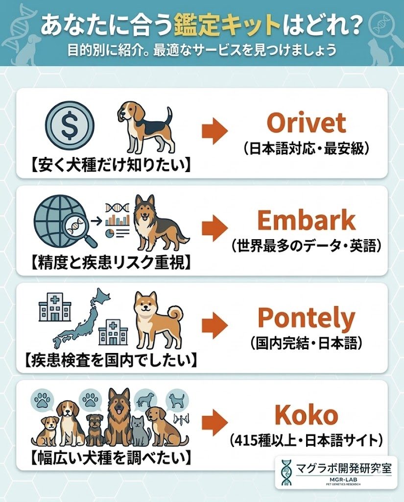 クリア、キャリア、アフェクテッドそれぞれの意味を解説。遺伝子検査における判定結果の基礎知識。