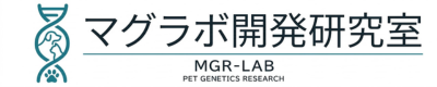 マグラボ開発研究室