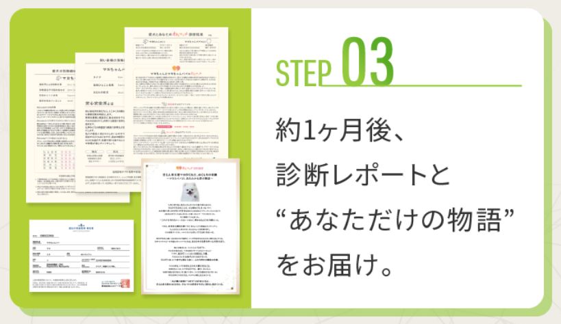 わんマッチから届く報告書3種と緊急災害避難時カードのセット内容