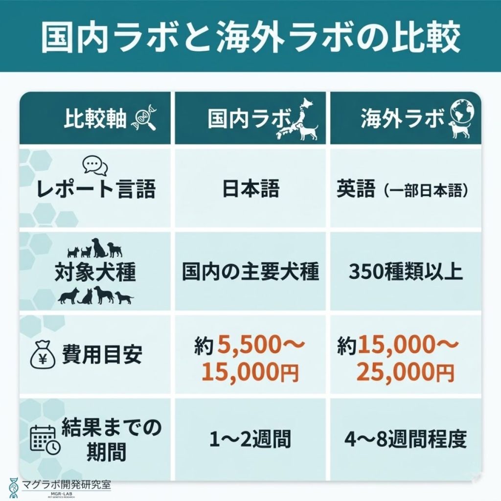 国内ラボと海外ラボの比較表。レポート言語、対象犬種数、費用目安、結果までの期間の違いを図解