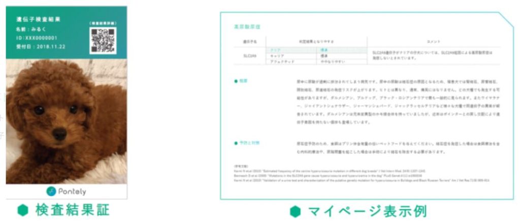 Pontely会員ページで確認できる遺伝子検査結果のサンプル画面