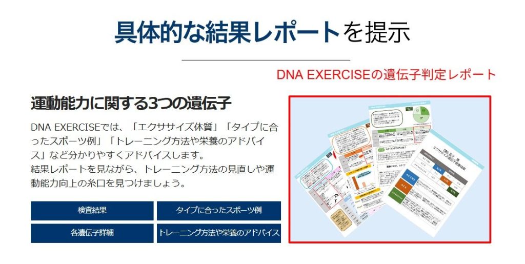 DNA EXERCISEのACTN3遺伝子判定レポートサンプル